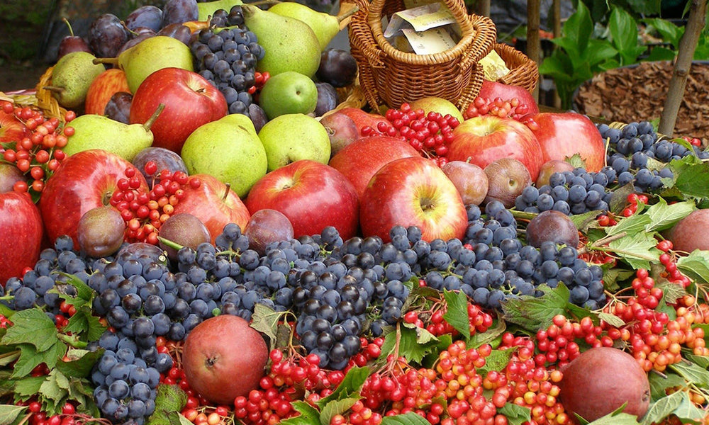 Duis aute irure dolor in reprehenderit in voluptate velit esse cillum dolore eu fugiat nulla pariatur