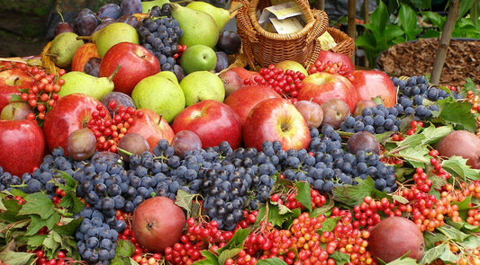 Duis aute irure dolor in reprehenderit in voluptate velit esse cillum dolore eu fugiat nulla pariatur