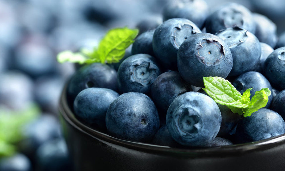 veniam, quis nostrud exercitation ullamco laboris nisi ut aliquip